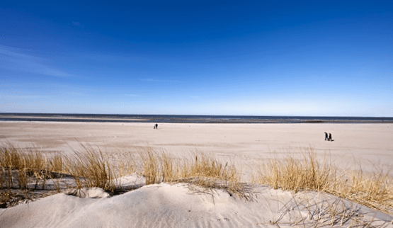 Vakantiehuis thema Strandhuisje Zeeland